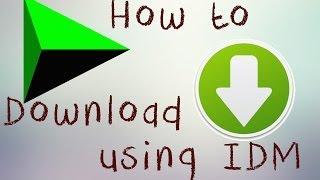 How To Download Files using IDM (Internet Download Manager)