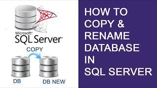 SQL Server Copy Database