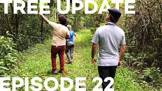 Tree Update Episode 22