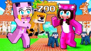 Wir ERÖFFNEN einen ZOO in Minecraft EVOLUTION!