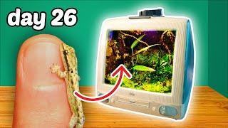 Turning an iMac into a Terrarium