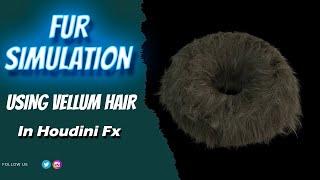Fur Simulation Using Vellum Hair |  Houdini Fx | Houdini Zone |