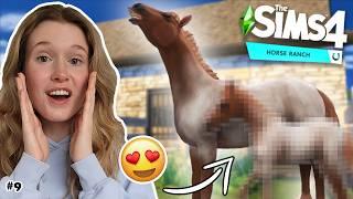 MIJN VEULEN IS GEBOREN!! | Sims 4 Paardenboerderij | Zoo Lianne