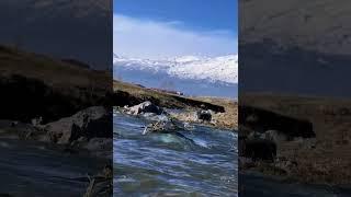 Streams of Himalayan snowmelt are flowing into rivers#photography #mountainstream#shorts