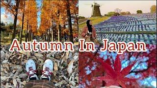 Wisata yang WAJIB dikunjungi Pas MUSIM GUGUR di JEPANG | AUTUMN in OSAKA | TRAVEL VLOG