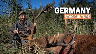 Unbelievable Free Range Stag while hunting deer in Germany!  STAG CULTURE