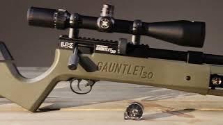 Gauntlet air rifle review