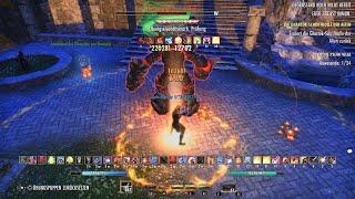 Eso - Magicka Templar 125,2k PvE Dps Build PS5 - U41 Scions of Ithelia