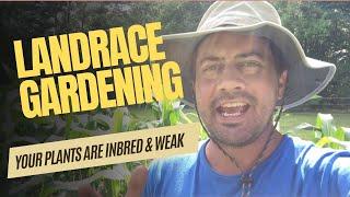 The Power of Landrace Gardening: Surpassing Hybrid Vigor