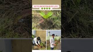 1st Time Plantation in my life ️️