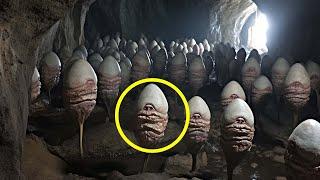 Scientists Found in Cave Under Lake SOMETHING That Terrified the World / Top 15