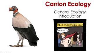 1 1 General Ecology Introduction