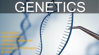 Genetics Terms