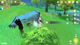 Genshin Impact - Pet Quest Harta Yang Hilang. Tempat Harta Karun 4, Tempat Iron Coin