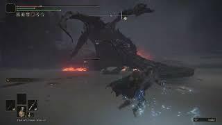 Octopus vs Magma Wyrm (Elden RIng)