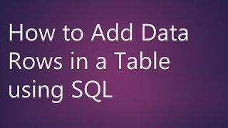 Learn How to Add Data Rows in a Table using SQL