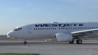 Victim of alleged pilot sex assault was fired with cause, WestJet claims