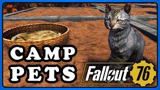 Fallout 76 PTS: Camp Pets All Details Revealed.