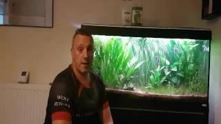 Mark Hopkins reviews Aqua Essentials - the planted aquarium experts