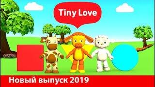 Tiny Love Развивающий мультфильм для детей от 6 месяцев - 2 года (Tiny Love developing cartoon)