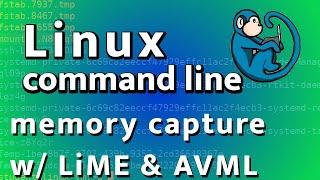 Linux memory forensics - memory capture with LiME and AVML