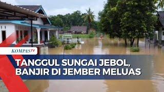 Banjir di Jember Makin Meluas Akibat Jebolnya Tanggul Sungai