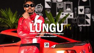 Afrobeat Instrumental 2024 Asake Ft Seyi Vibez Type beat “LUNGU”