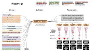 Miscarriage, spontaneous abortion (mechanism of disease)