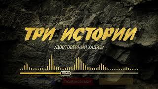 Три истории | Достоверный хадис | Ильдар Аляутдинов