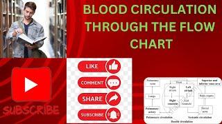 Topic Name : -Blood circulation through the flow chart