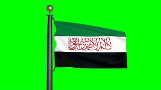 Flag of the Syrian Salvation Government (green screen)