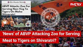 FACT CHECK: Does Image Show 'News' of ABVP Attacking Zoo for Serving Meat to Tigers on Shivaratri?