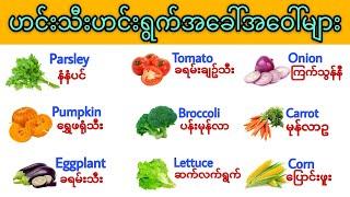 ဟင်းသီးဟင်းရွက်အခေါ်အဝေါ်အမည်များ Vegetable Vocabulary