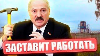 Наказание за тунеядство - welcome to Belarus / Нюансы закона о тунеядстве: пенсионеры в зоне риска