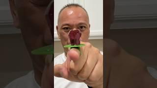  ASMR RING POP CANDY TROPICALS VERY BERRY PUNCH FLAVOR AND EATING SOUNDS  #asmr #shorts