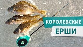 С такими ЕРШАМИ никакой сороги не надо!!! Королевские ерши ГОРЬКОВСКОГО моря