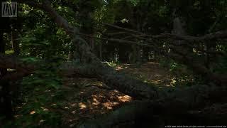 Unreal Engine 5 Broadleaf Forest Tech Demo - RTX 3080 - Sharpening 50 % Test