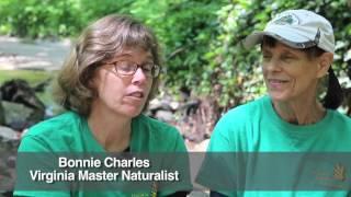 What is a Virginia Master Naturalist