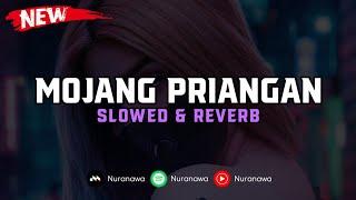 DJ Mojang Priangan ( Slowed & Reverb ) 