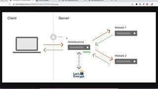 Dynamic host multiple websites on the same server and port with Docker and Nginx