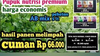 Cara membuat racikan dan rincian biaya nutrisi AB mix daun dengan pupuk meroke@ANUR_hidroponik