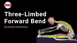 The Three-Limbed Forward Bend Yoga Pose