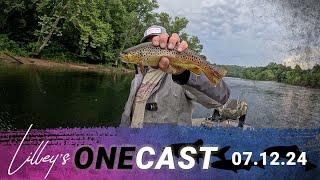 Lilley's One Cast, July 12