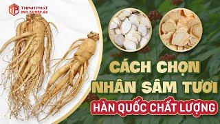 Cách chọn nhân sâm tươi Hàn Quốc chất lượng