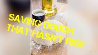 Fixing Dough that did not rise