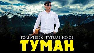 Толкунбек Курманбеков - Туман (Official audio 2024)
