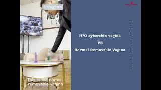 H²O cyberskin vagina VS normal removable vagina