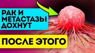 Учёные: чтобы рак и метастазы засохли, больше не появлялись - эти продукты нужно добавить в рацион