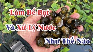 Hướng Dẫn Làm Bể Bạt và Xử Lý  nước để nuôi ỐC BƯƠU ĐEN, ỐC NHỒI