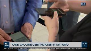 Fake vaccine certificates in Ontario